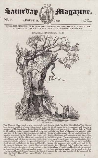 El Roble de Nannau de English School