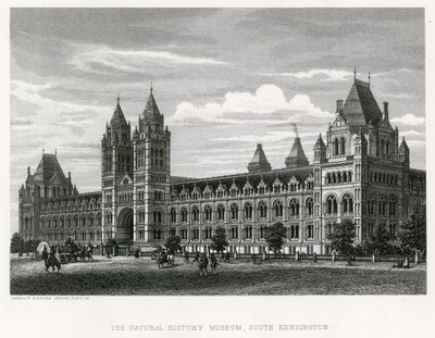 Museo de Historia Natural, 1881 de English School