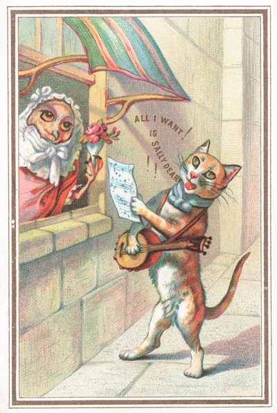 El búho y el gatito de English School