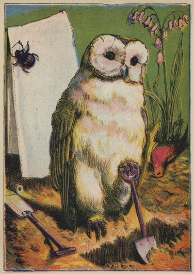 El búho, el escarabajo y el petirrojo (litografía en color) de English School