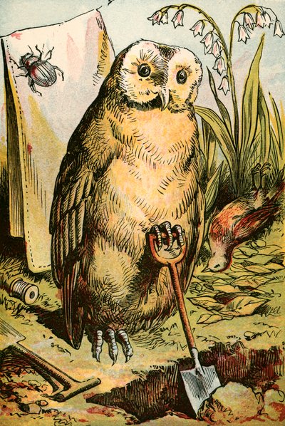 El Búho, el Escarabajo y el Petirrojo de English School