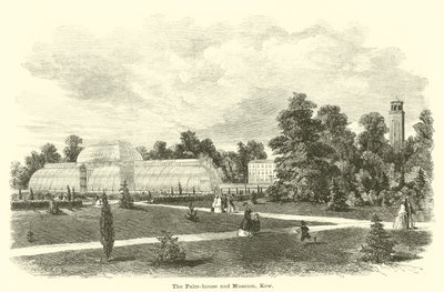 La casa de las palmas y el museo, Kew de English School