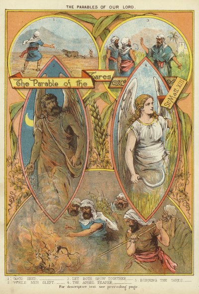 Las parábolas de Cristo: La parábola de la cizaña de English School