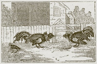 La perdiz y los gallos (grabado) de English School