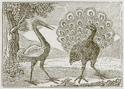 El pavo real y la grulla (grabado) de English School