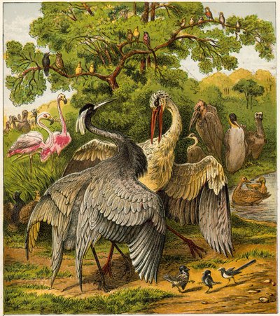 El Pavo Real en Casa de English School