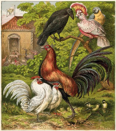 El pavo real en casa de English School