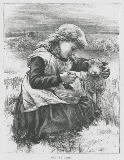 El cordero mascota (grabado) de English School