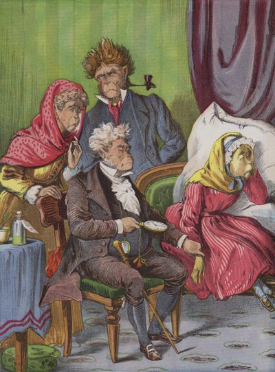 El médico (cromolito) de English School
