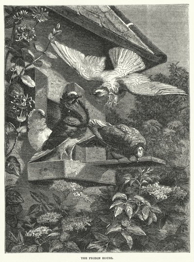 La Casa de las Palomas (grabado) de English School
