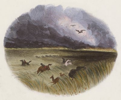 La pradera en llamas de English School
