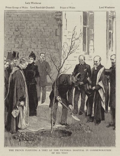El príncipe plantando un árbol en el Hospital Victoria en conmemoración de su visita de English School