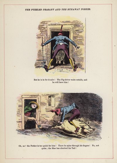 El campesino desconcertado y el cerdo fugitivo de English School
