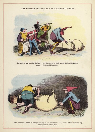 El campesino desconcertado y el cerdo fugitivo de English School