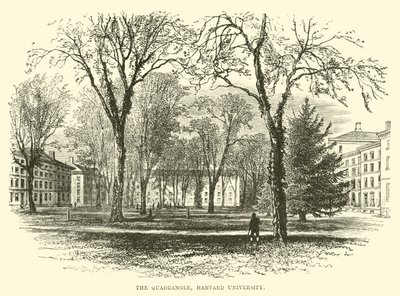 El Cuadrángulo, Universidad de Harvard de English School