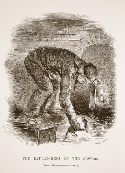 Los cazadores de ratas de las alcantarillas, ilustración de London Labour and London Poor de Henry Mayhew, pub. 1862 de English School
