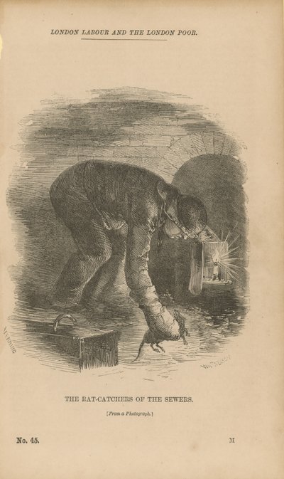 Los cazadores de ratas de las alcantarillas de English School