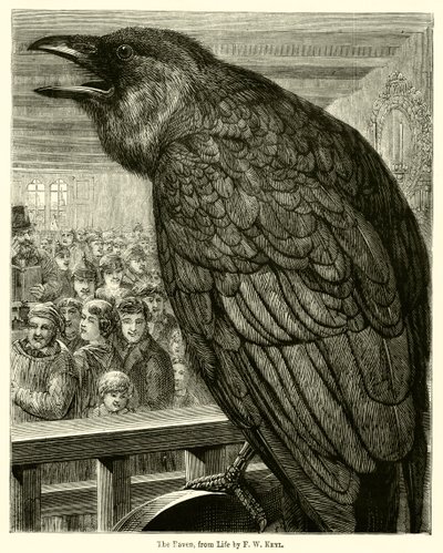 El cuervo, de la vida de English School