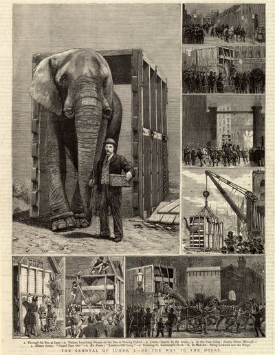 La Remoción de Jumbo de English School