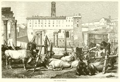 El Foro Romano de English School