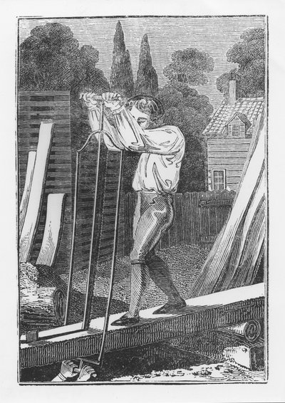 El aserrador, del libro The Young Tradesman or Book of English Trades, 1839 de English School