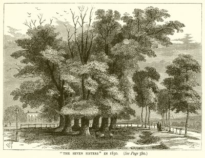 Las Siete Hermanas en 1830 de English School