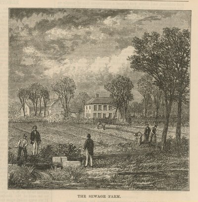 La Granja de Aguas Residuales de English School
