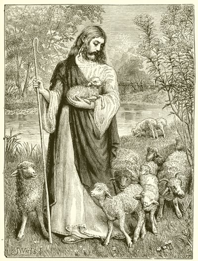 El pastor y los corderos de English School