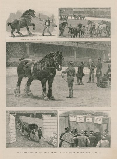 El espectáculo de la Shire Horse Society en el Royal Agricultural Hall de English School