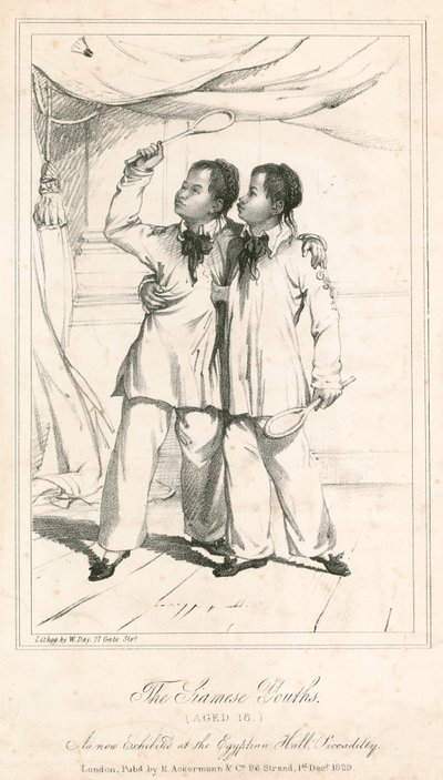 Los jóvenes siameses (de 18 años), una nueva exhibición en el Egyptian Hall, Piccadilly de English School