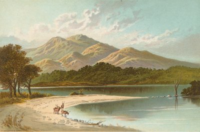 La Playa de Plata - Loch Katrine de English School