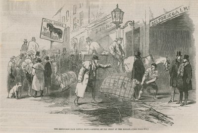 La exposición de ganado del Smithfield Club de English School