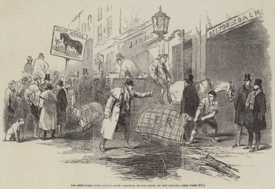Exposición de Ganado del Club Smithfield, Llegada de Ovejas Gordas al Bazar (grabado) de English School