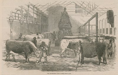 El patio de la exposición de ganado del Smithfield Club de English School