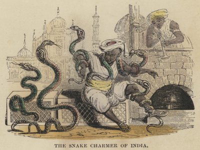 El Encantador de Serpientes de India (grabado coloreado) de English School