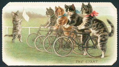 La salida, carrera de gatos en bicicleta, tarjeta de Navidad de English School