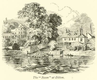El Cisne en Ditton de English School