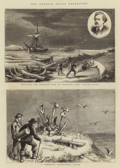 La Expedición Ártica Sueca de English School