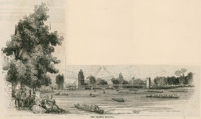 La Regata del Támesis de English School