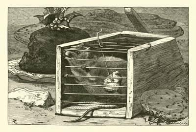 El ratón ladrón de English School