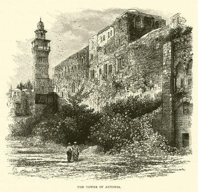 La Torre de Antonia de English School