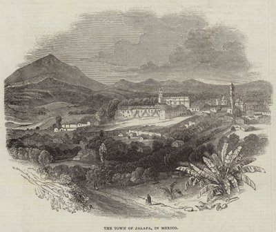 La ciudad de Jalapa, en México (grabado) de English School