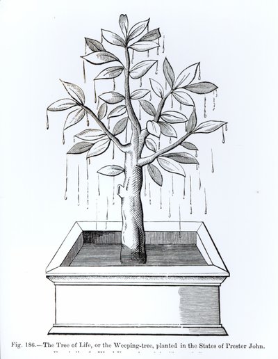 El Árbol de la Vida, o el Árbol Llorón, plantado en los Estados de Preste Juan, ilustración de Ciencia y Literatura en la Edad Media y el Renacimiento, escrito y grabado por Paul Lacroix, 1878 de English School