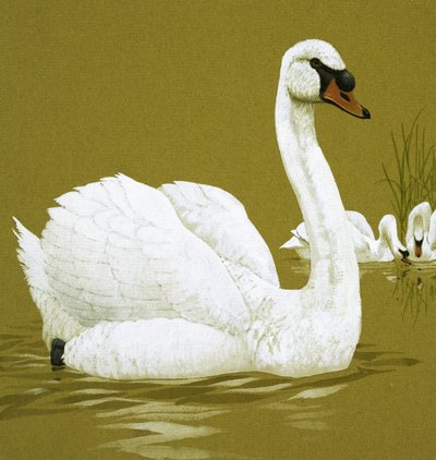 El patito feo de English School
