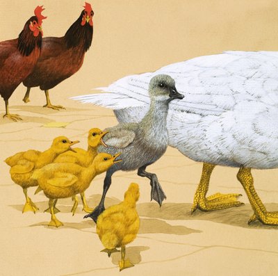 El patito feo de English School