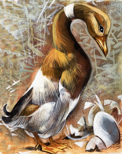 El patito feo de English School