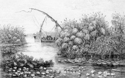 Los barcos en la barrera de hierba, de 
