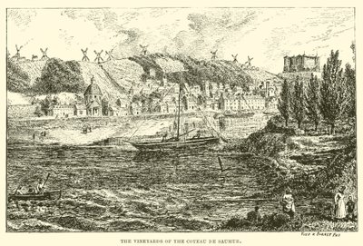 Los viñedos del Coteau de Saumur (grabado) de English School