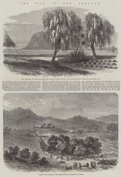 La guerra en Nueva Zelanda de English School