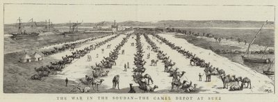 La guerra en Sudán, el depósito de camellos en Suez (grabado) de English School